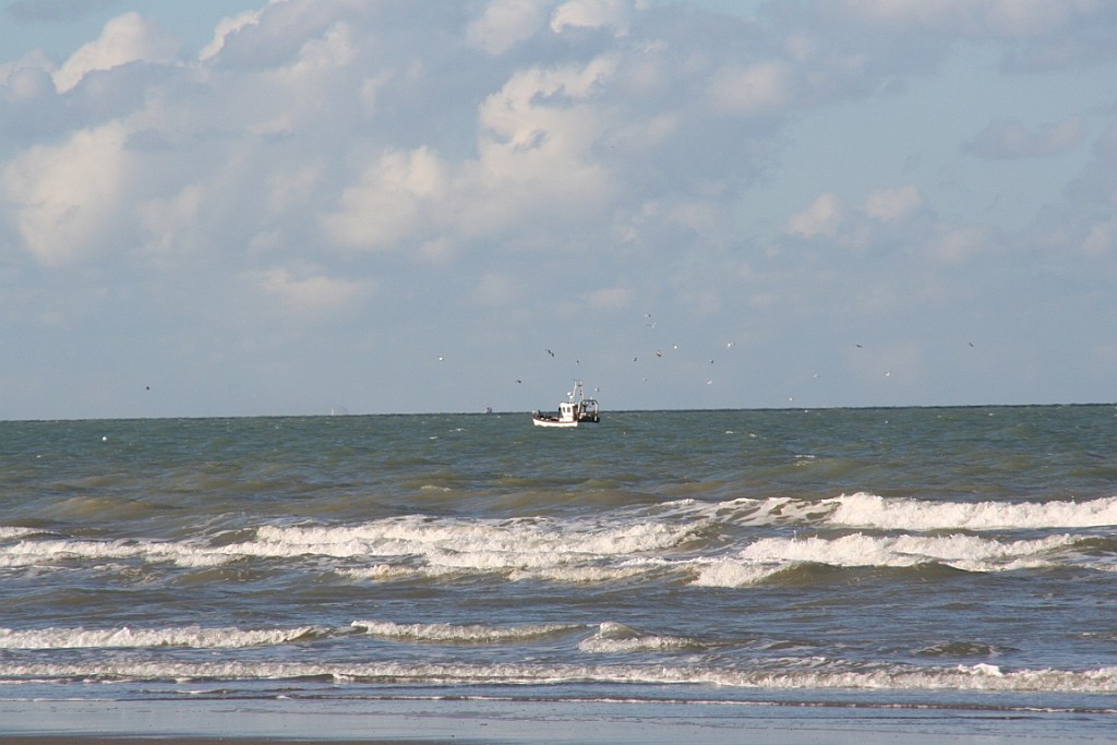 DePanne (15).JPG